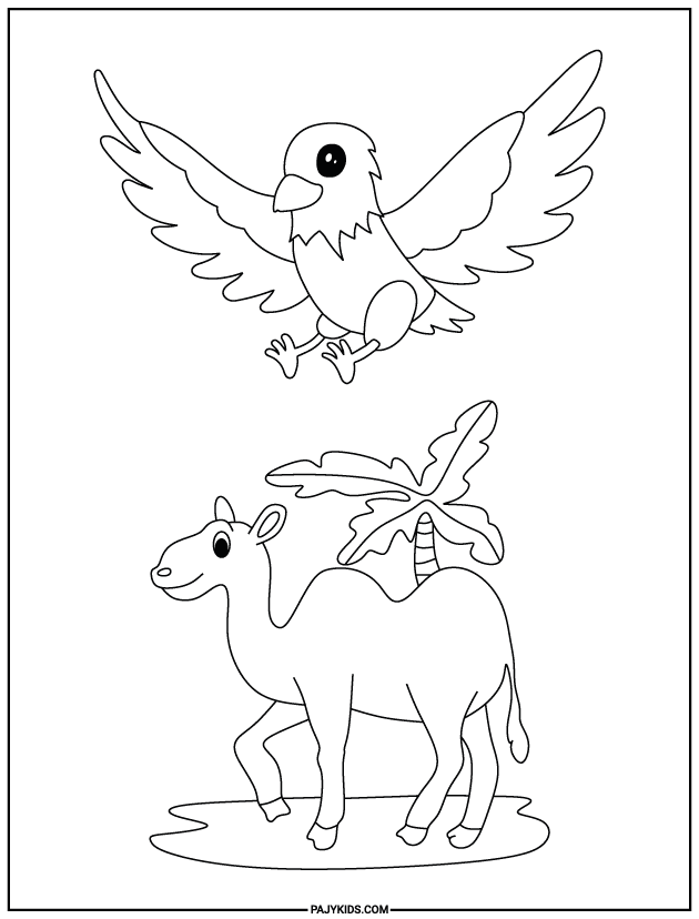 coloring sheets for preschoolers - Bird and Camel - Animal Awareness and Observation
