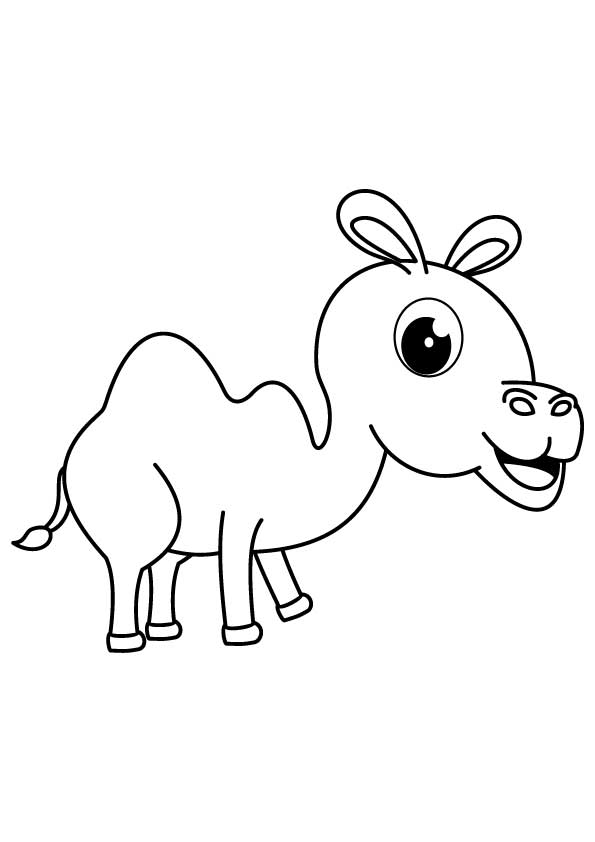 أنشطة تعليمية منزلية