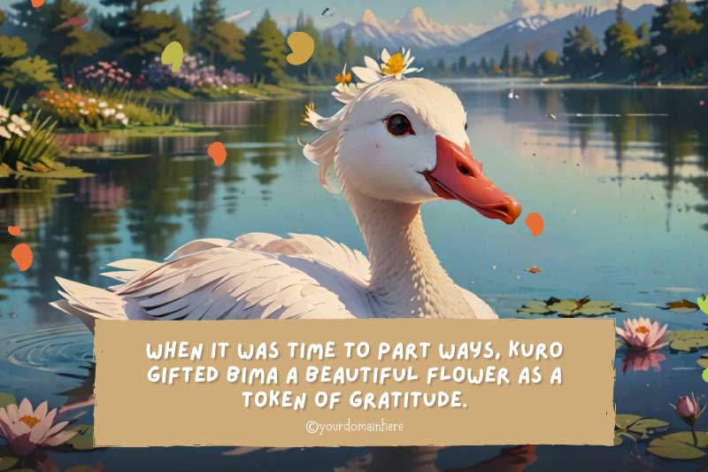 social emotional learning activities