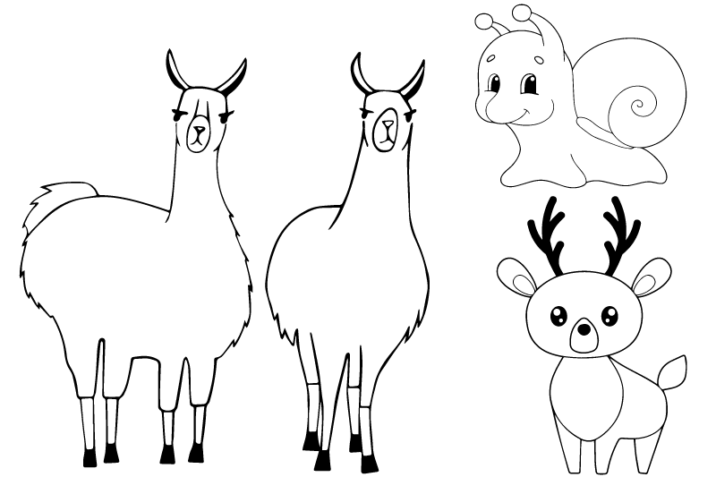 kids coloring activities