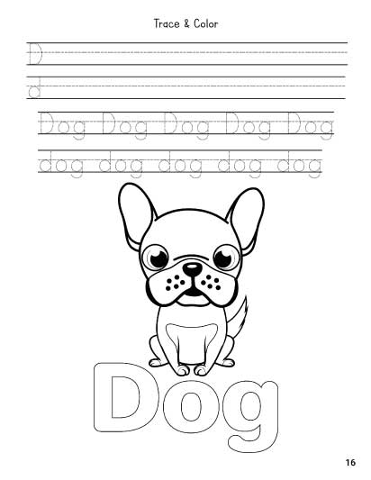 uppercase and lowercase letters practice