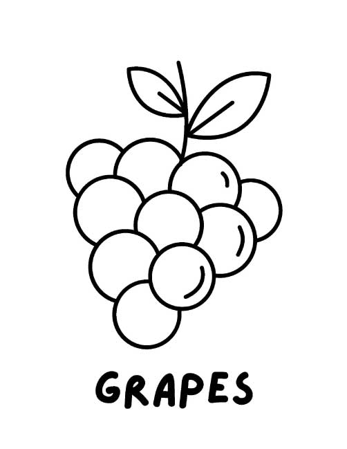 تعليم أسماء الفواكه