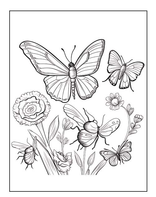 butterfly coloring pages for preschool
