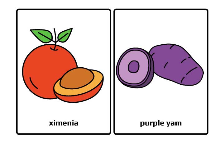 fruit learning activities