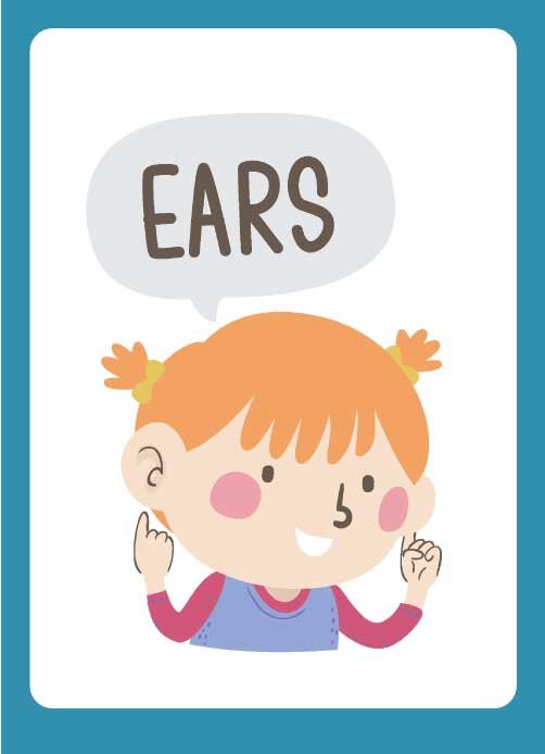 kindergarten anatomy basics