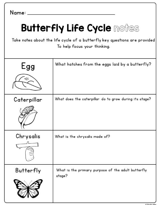 science activities for kids